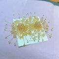 Fleur Crystal Studs