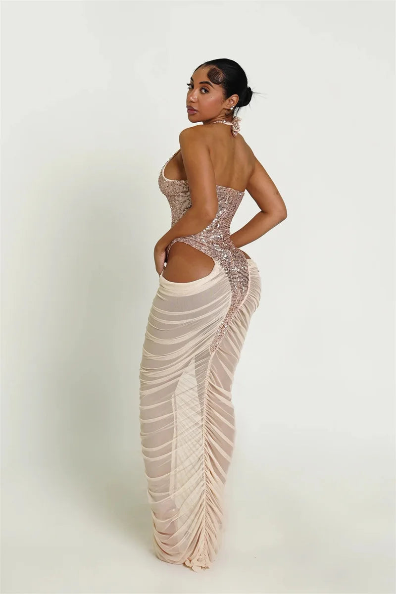 Glitter Sheer Mesh Bodycon